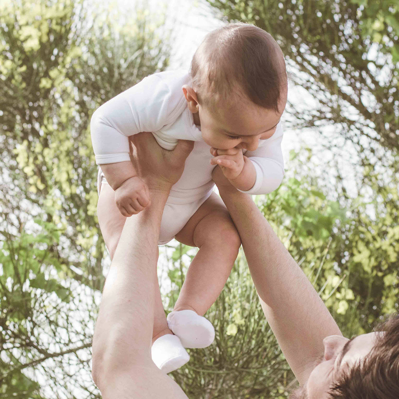 All-Natural-and-Organic