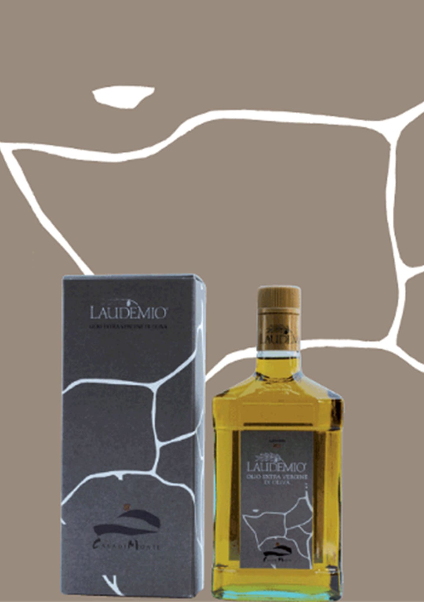 11-LAUDEMIO