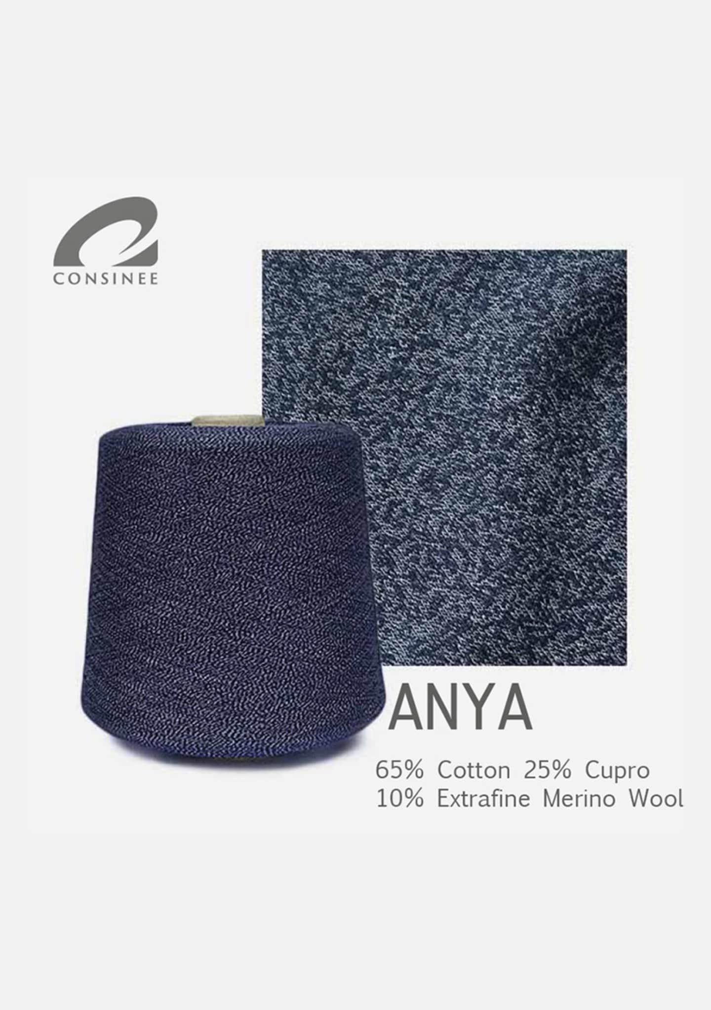 19.-ANYA