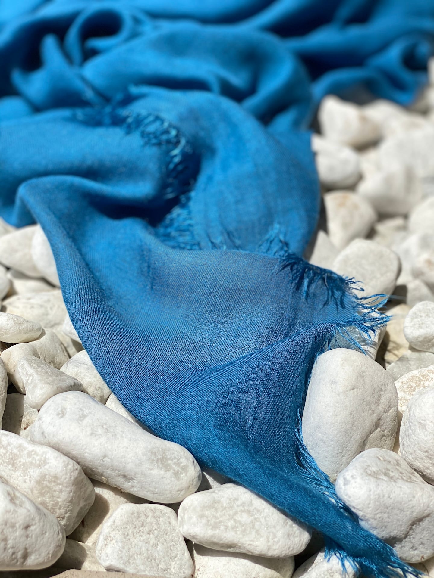 FALIERO_SARTI