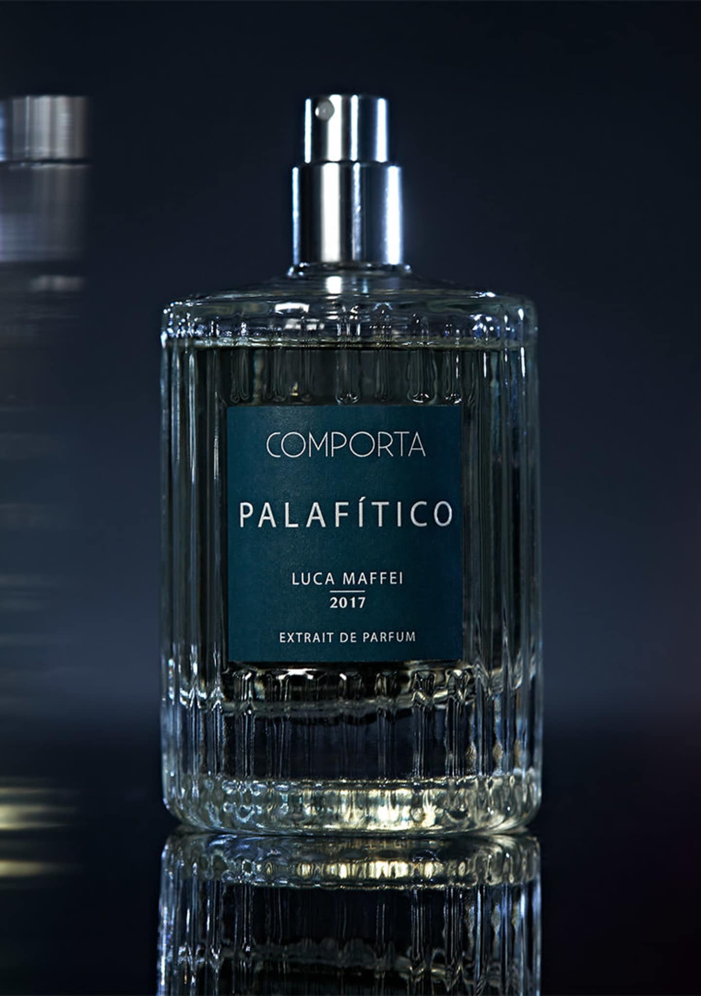 PALAFITICO
