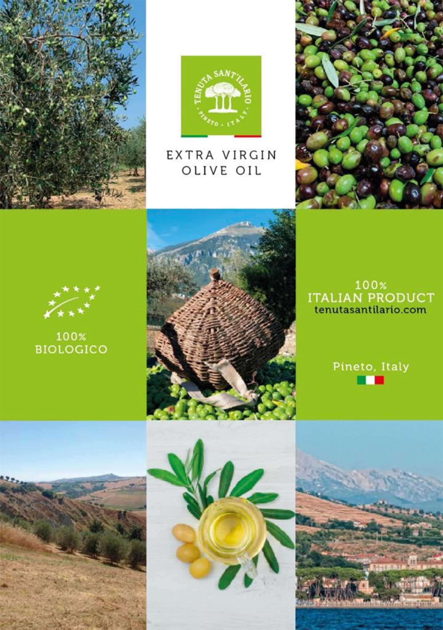 immagine-olive-2
