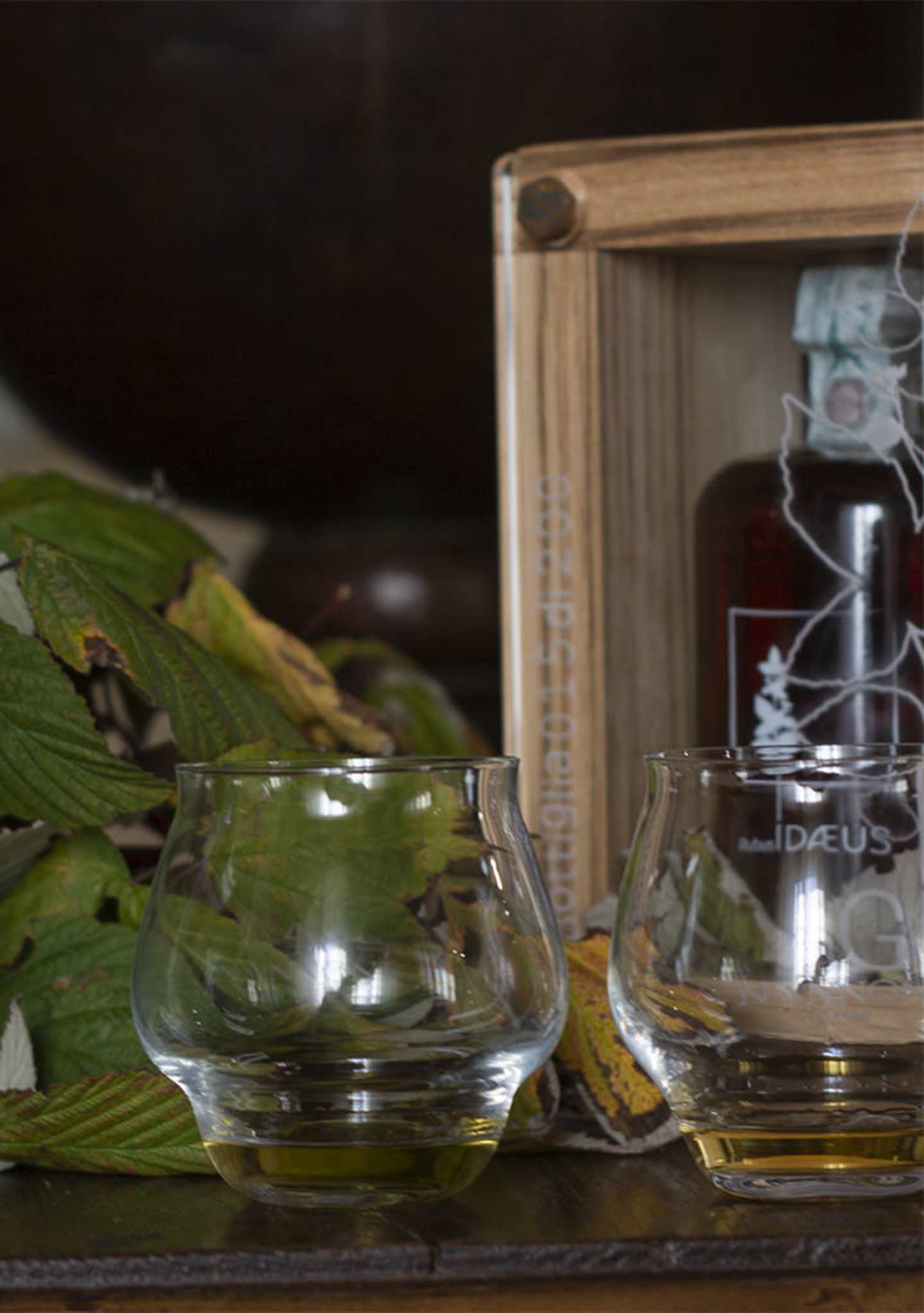 GIN-1_