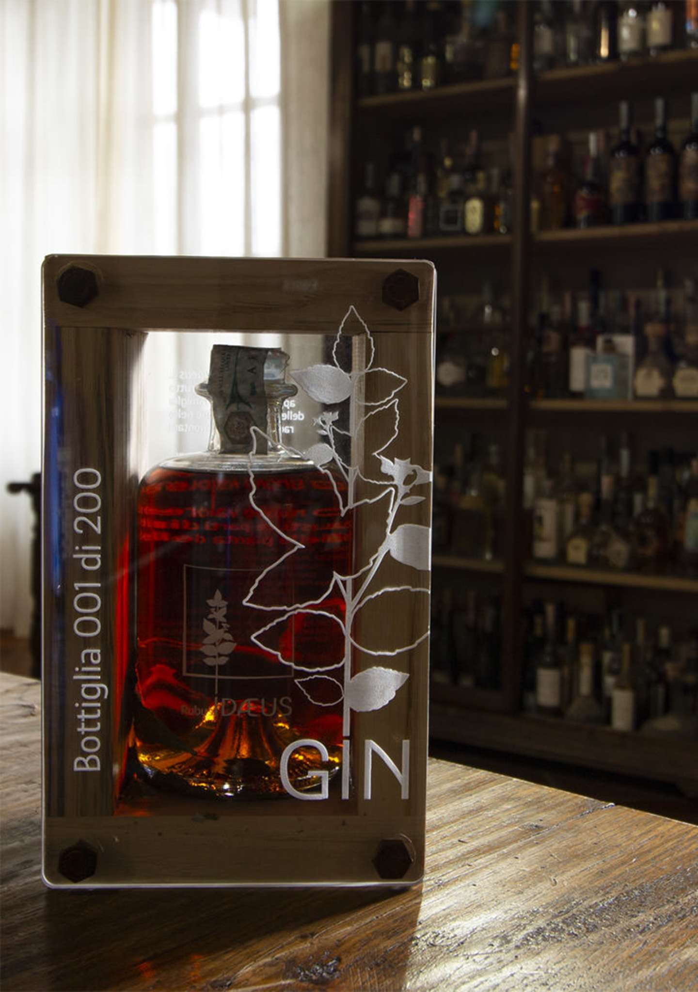 GIN-2_