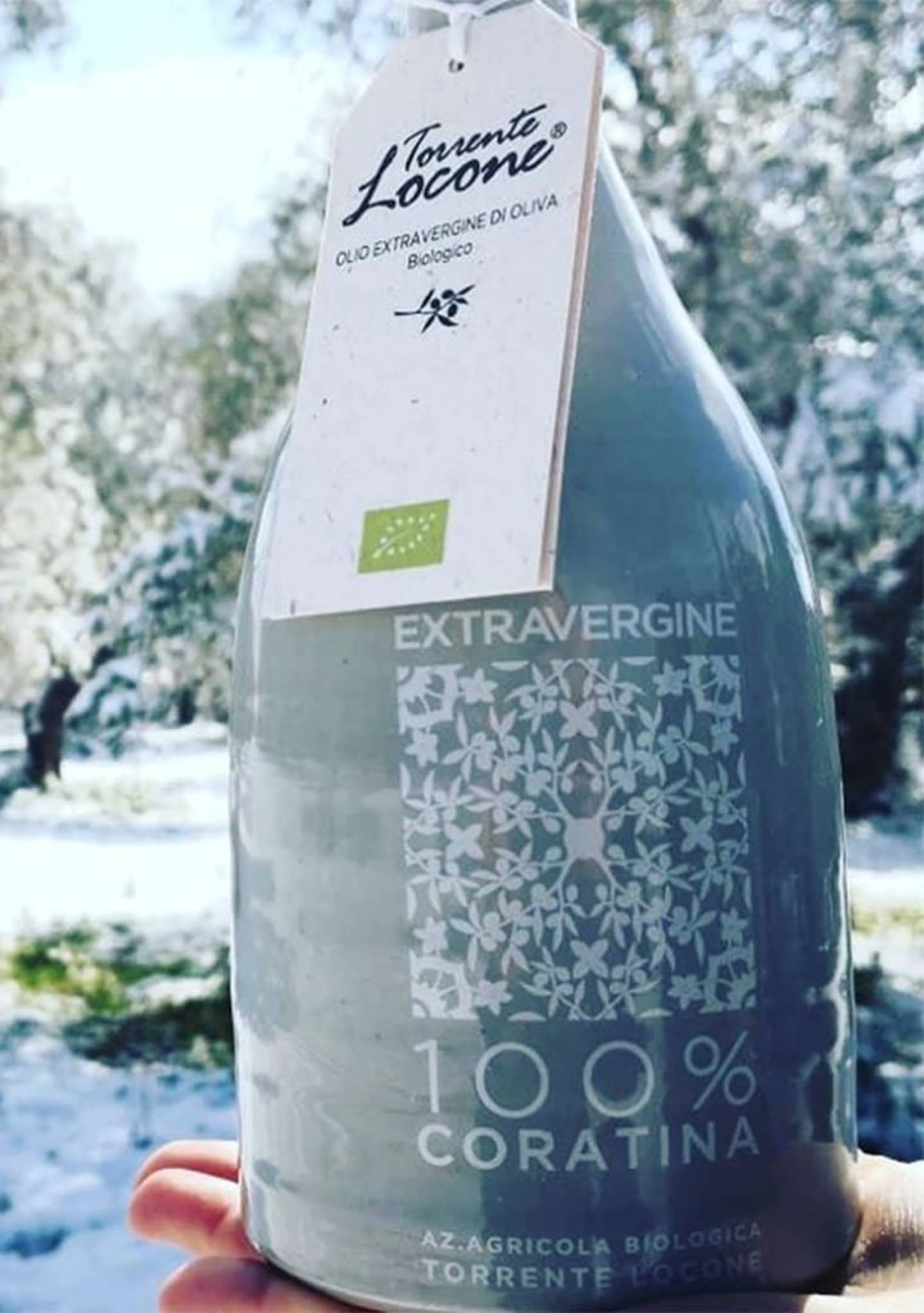 orcetto-neve