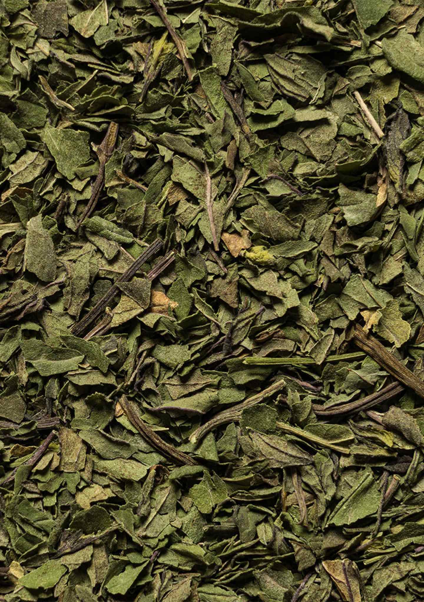Wilden-herbals_DSL9998_menta