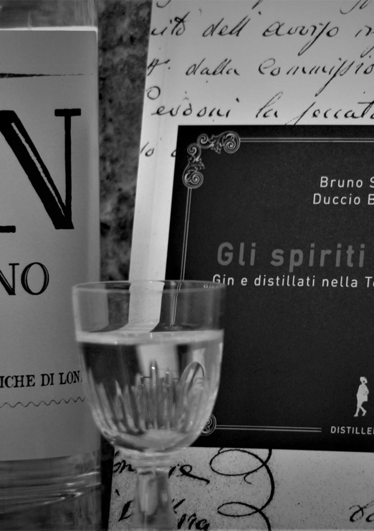 gin-foto-promo-4