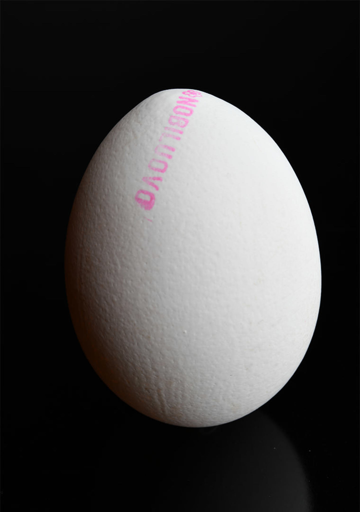 UovoBianco_FondoNero