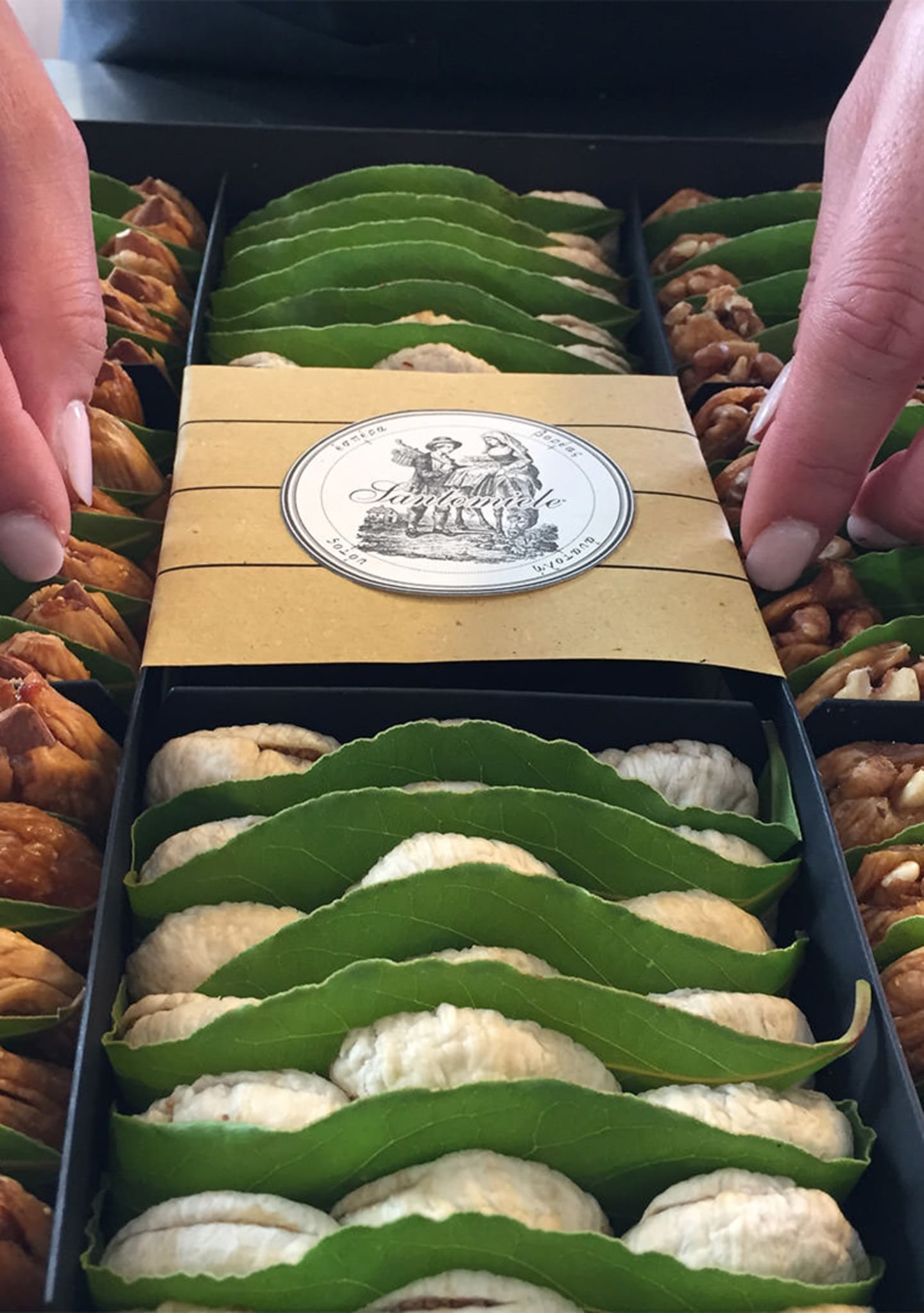 fichi-Mondi-Santomiele