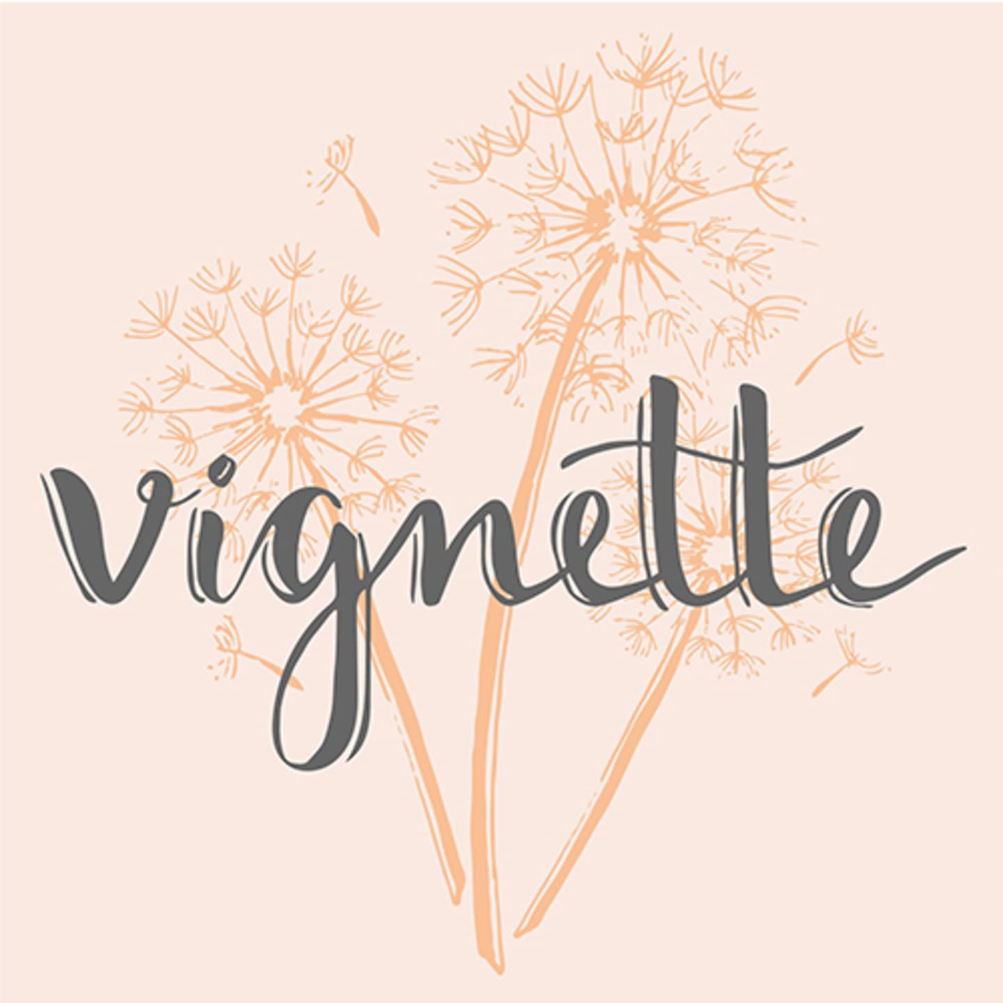 VIGNETTE