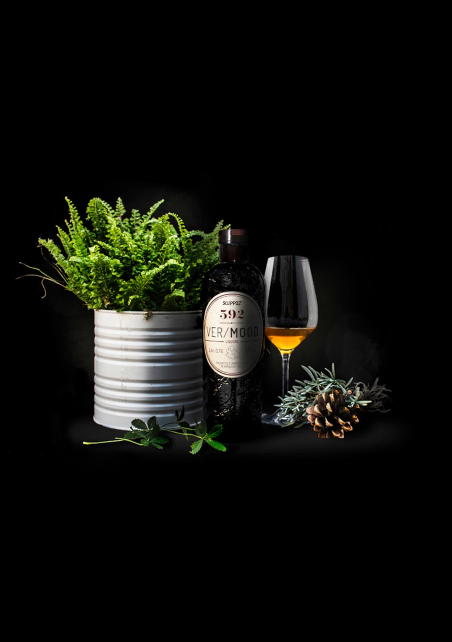 vermood-artigianale-con-spezie-e-piante-varie-pigna-bicchiere-di-cristallo