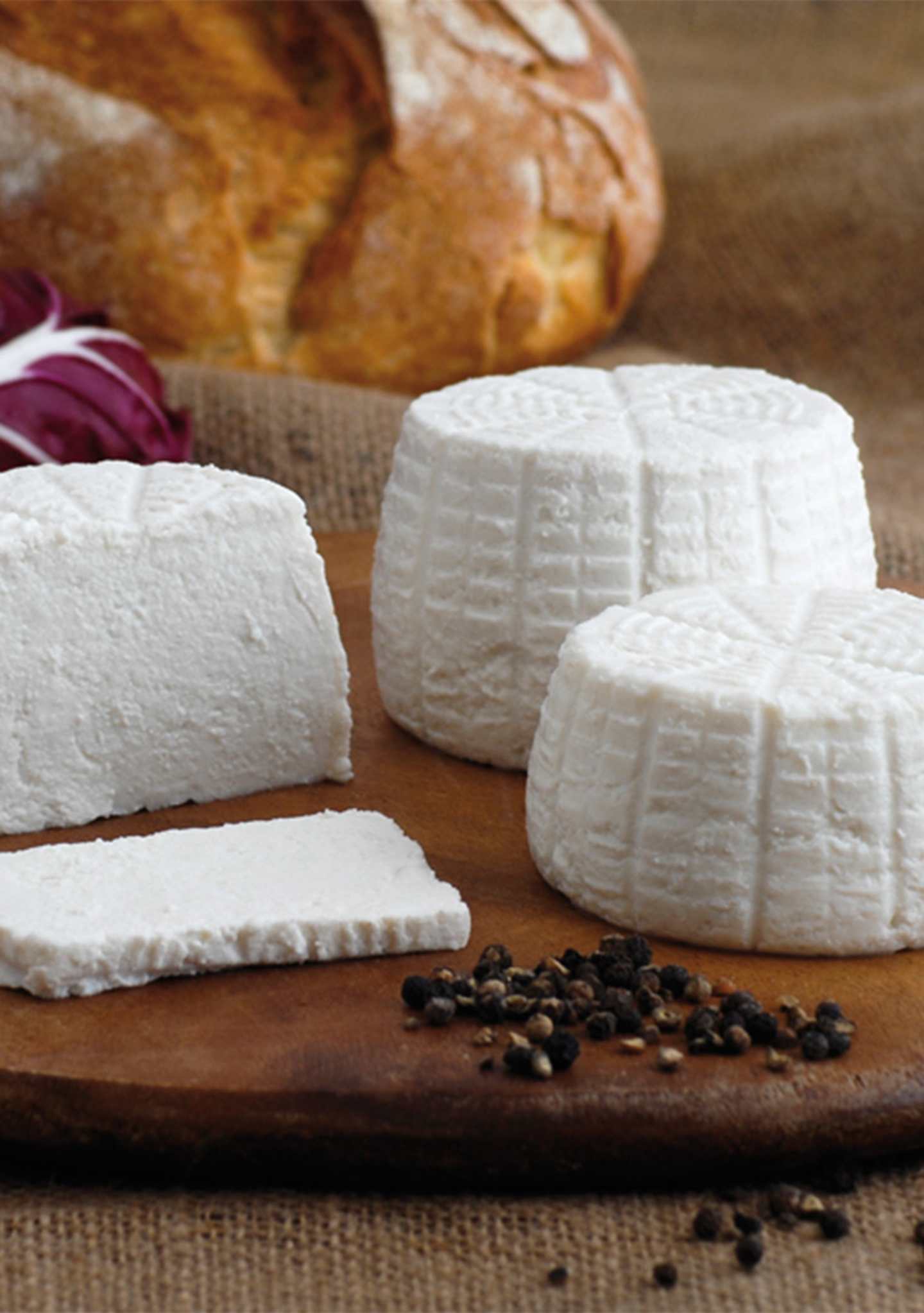 ricotta