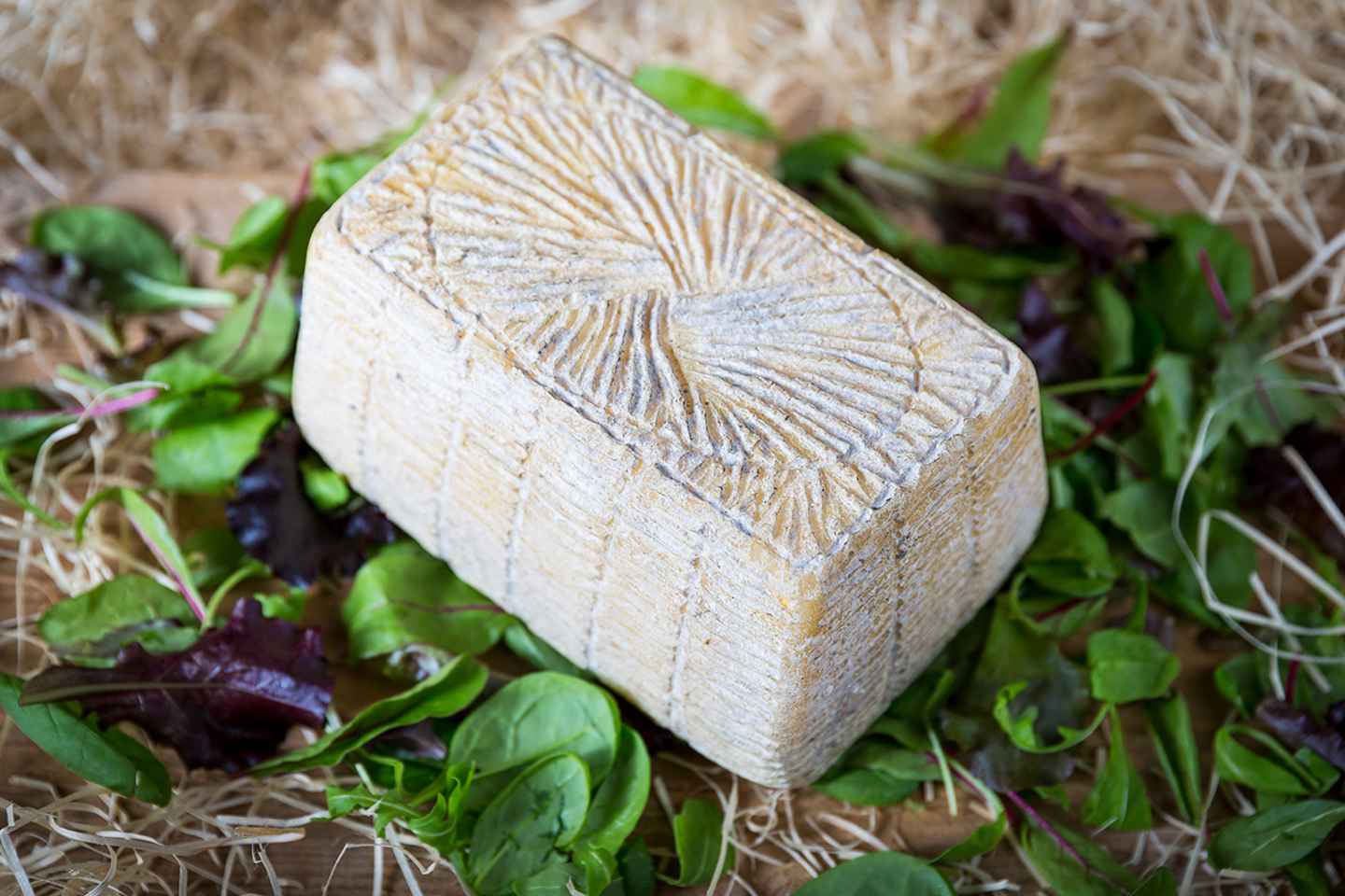 PAN-DI-CACIO