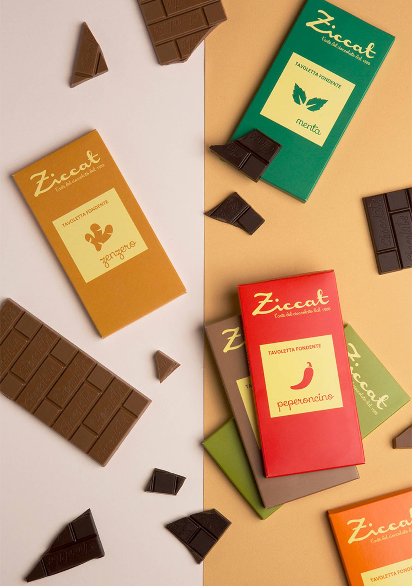 ziccat_EB_3195