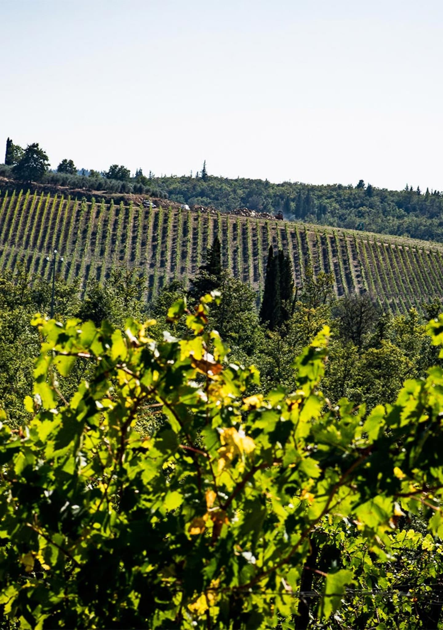 Paesaggio_1-_1