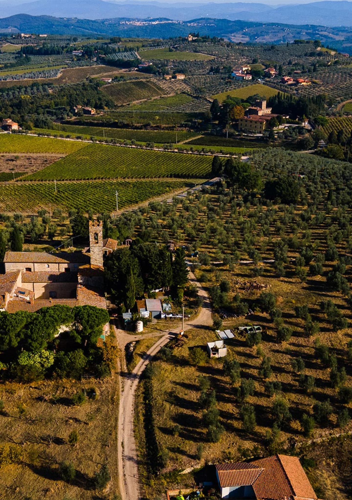 Areale_Pieve_di_Campoli_8-_1