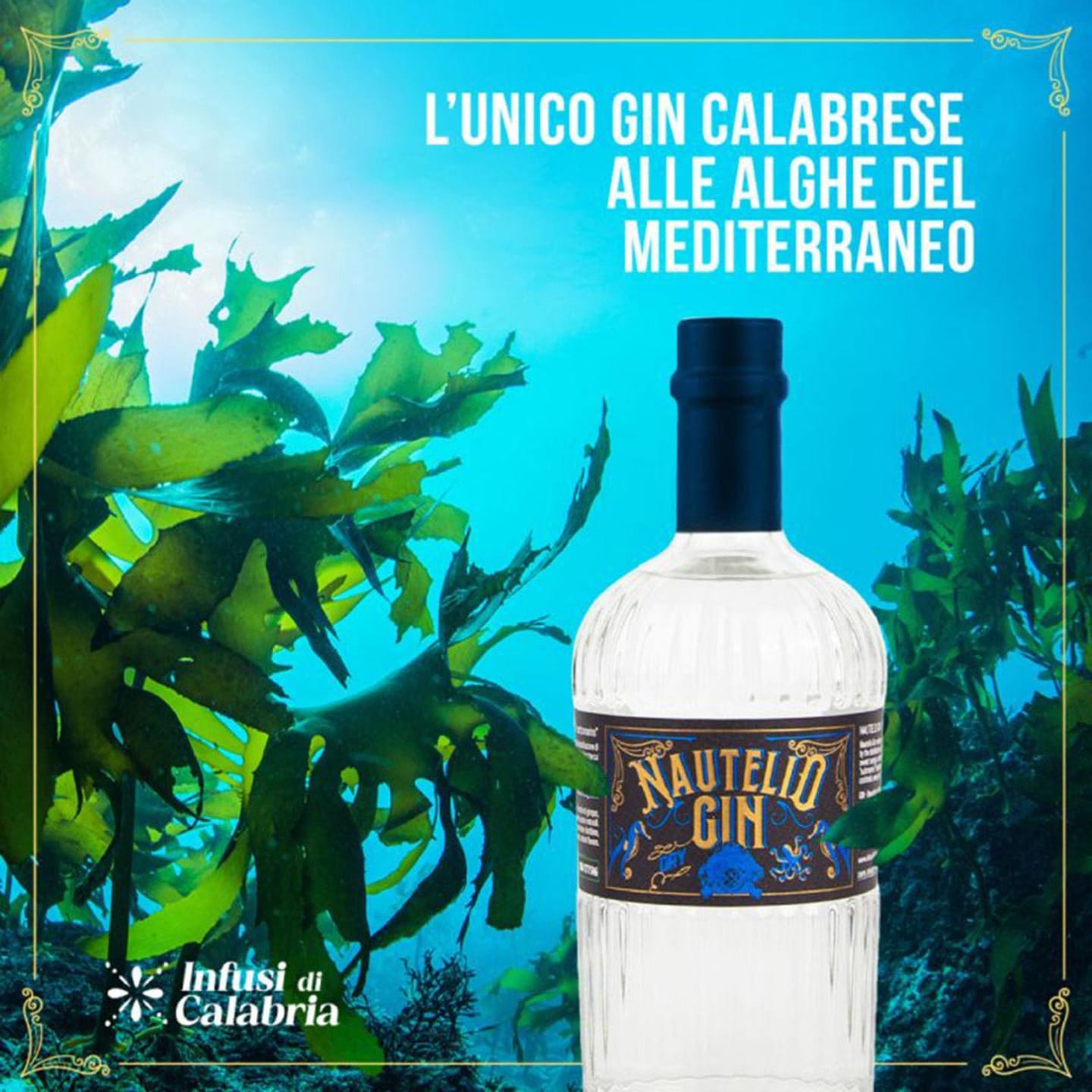 foto-gin-con-alghe