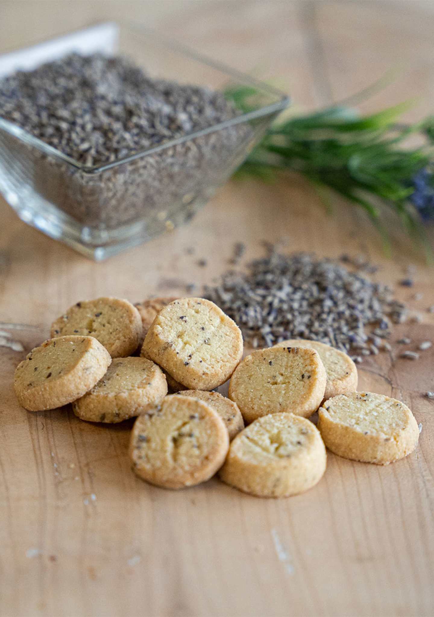 lavanda