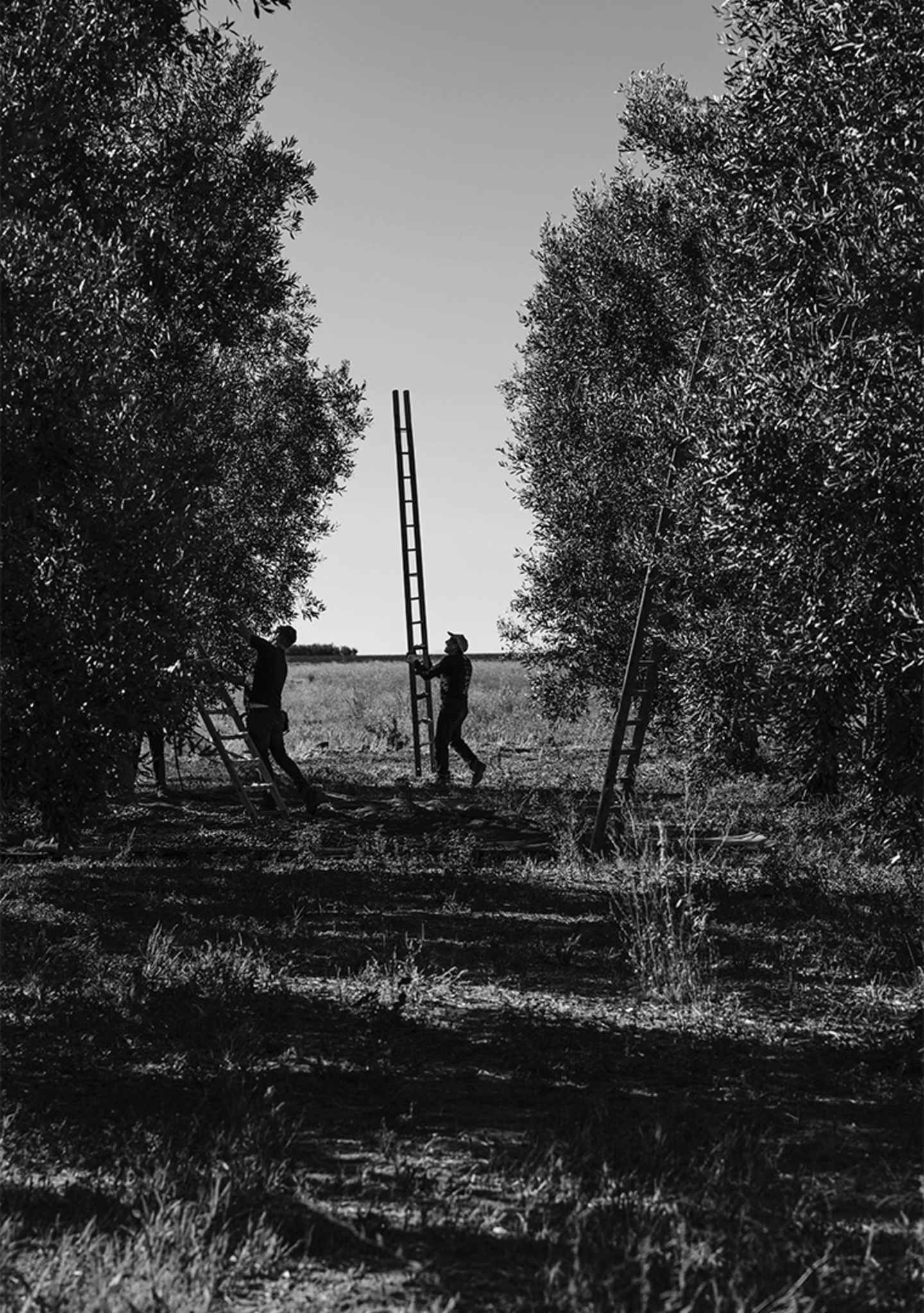 _DSC9396
