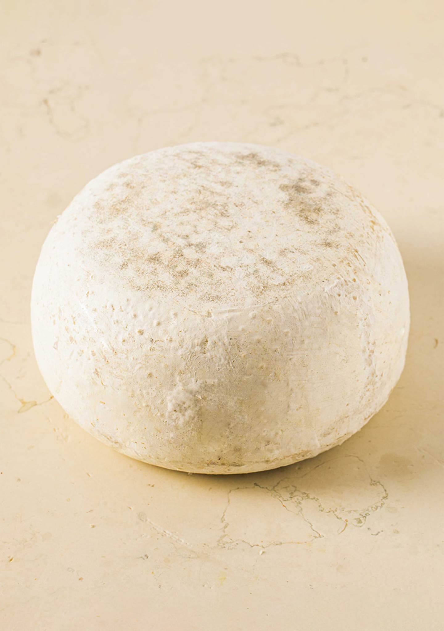 Capra-di-Puglia