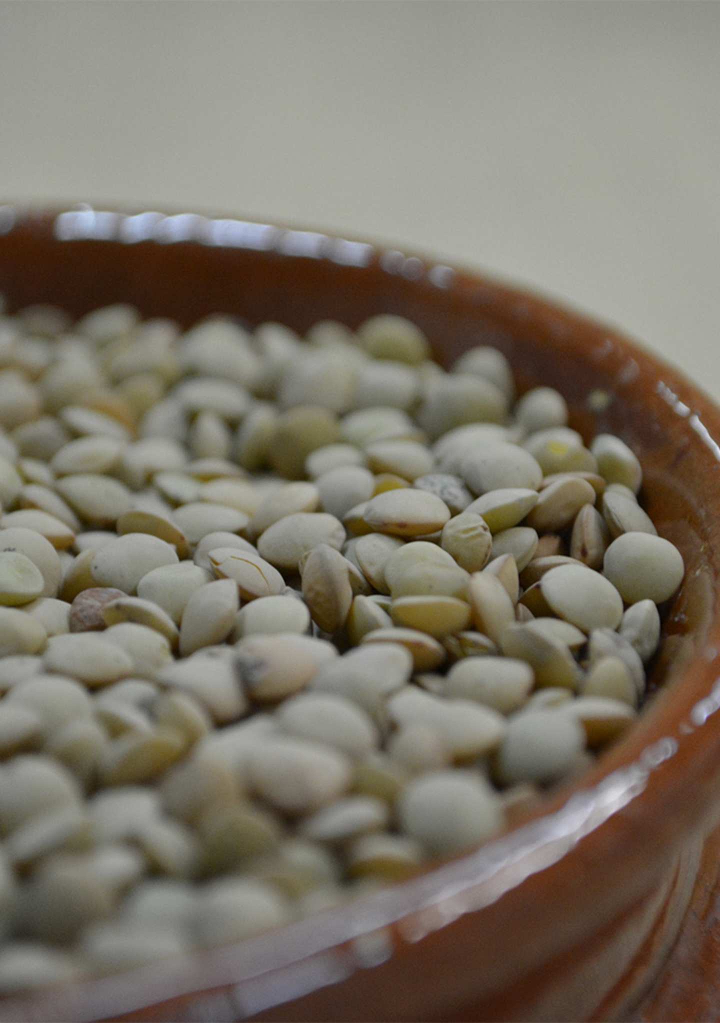 Lenticchia-di-Onano