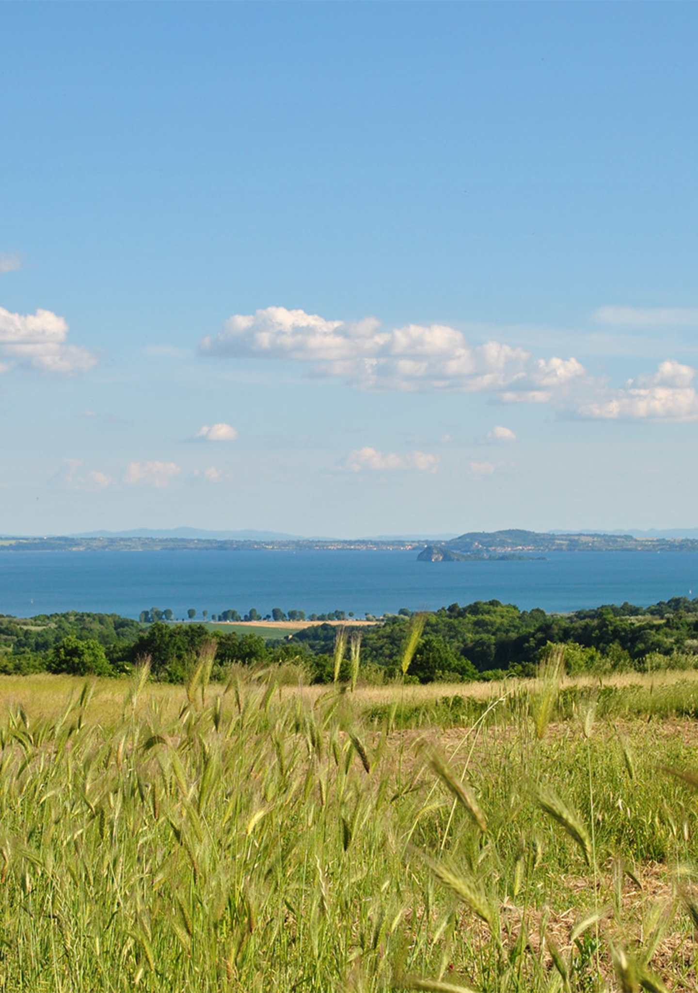 CAMPO_lago
