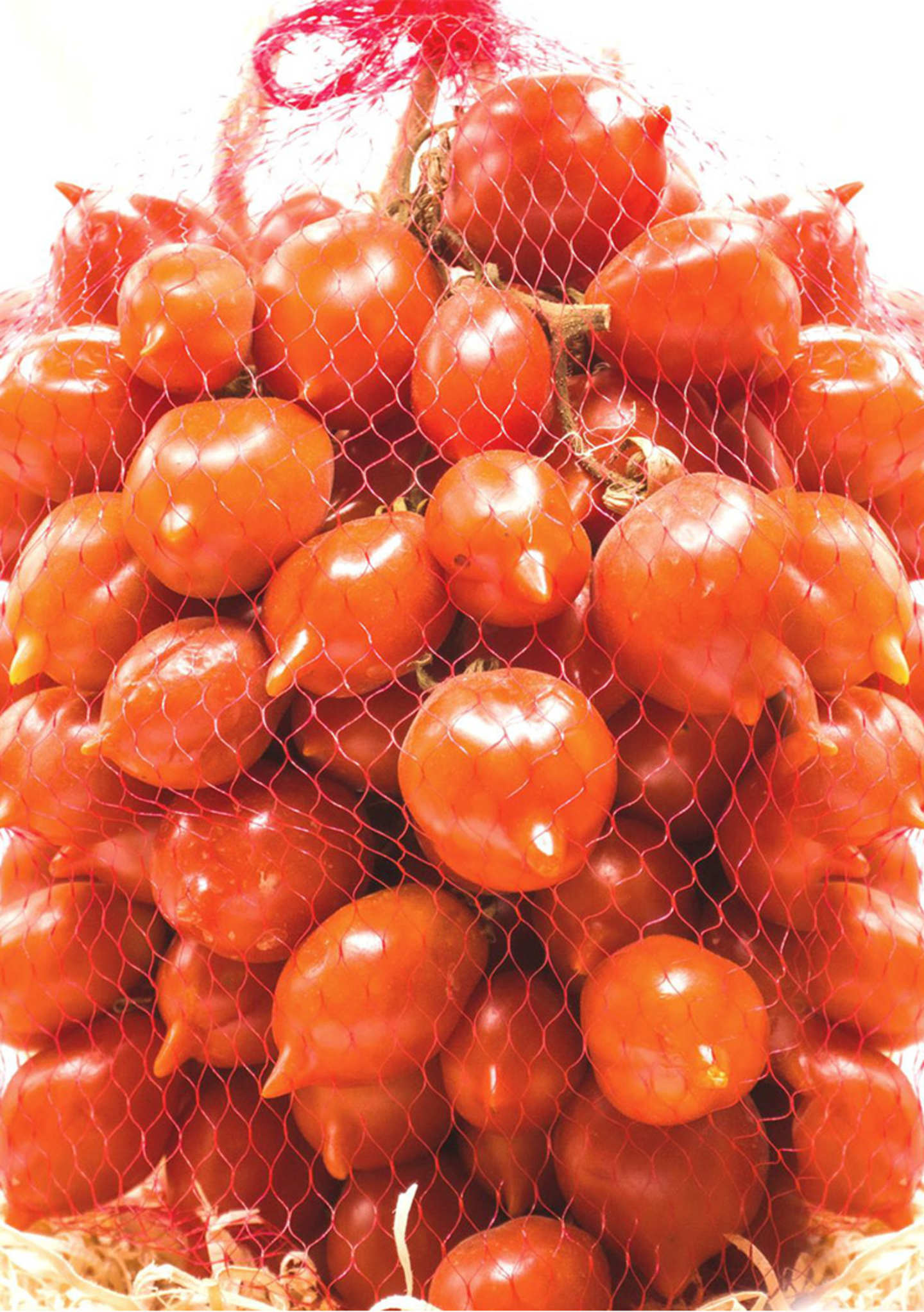 Catalogo-Verticelli-min-36