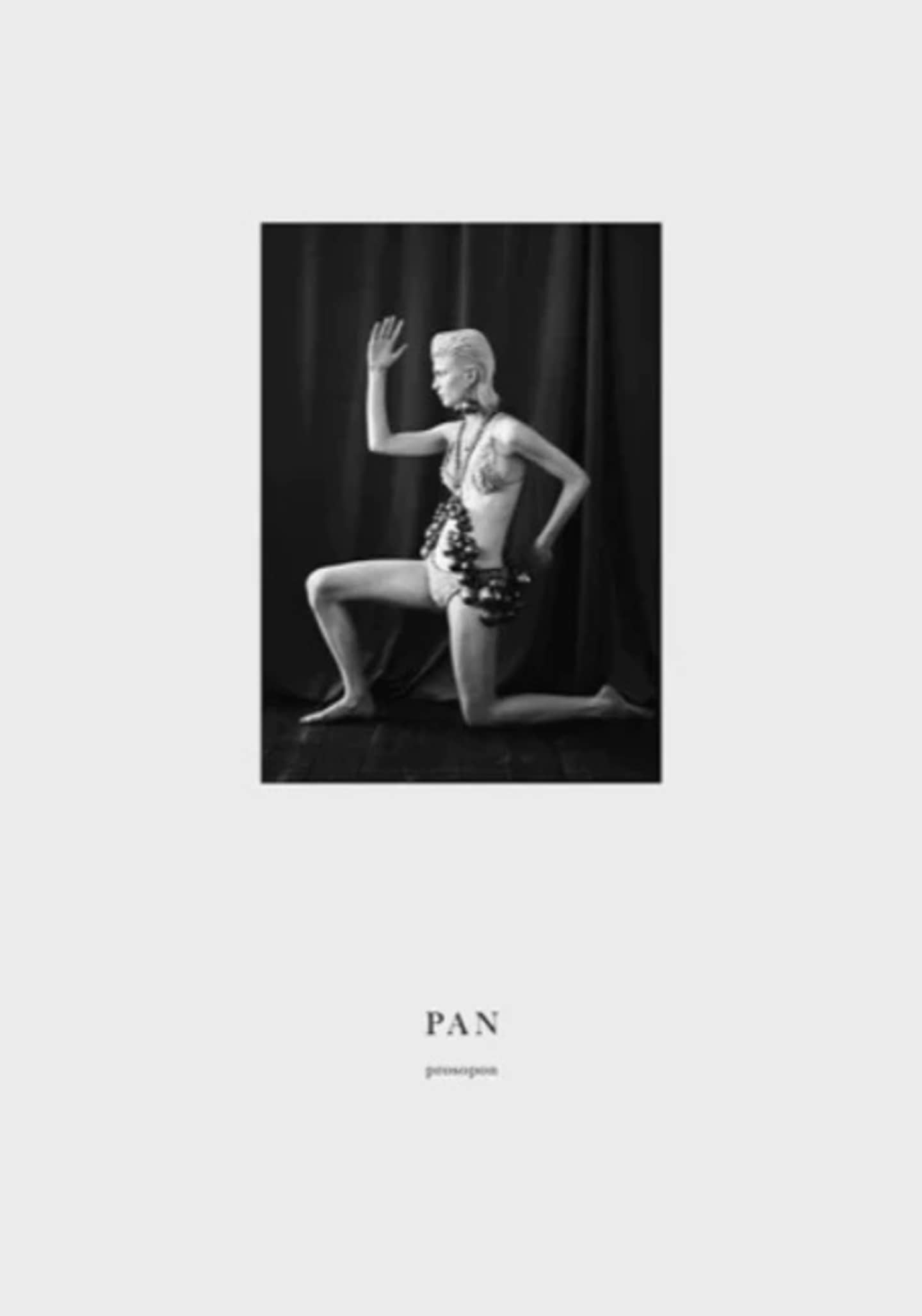 pan_and_the_dream