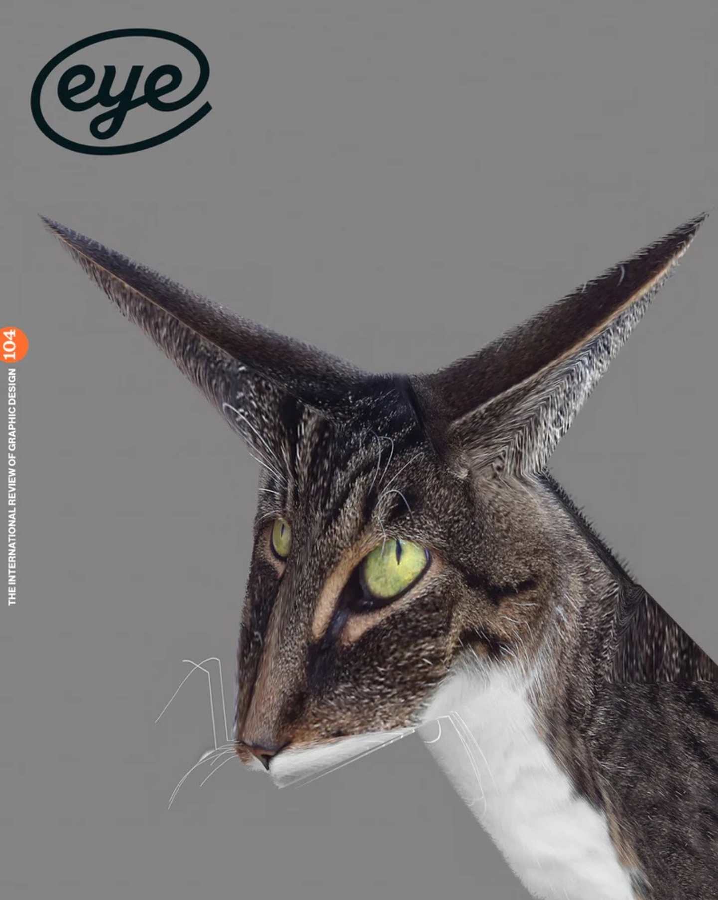 eye
