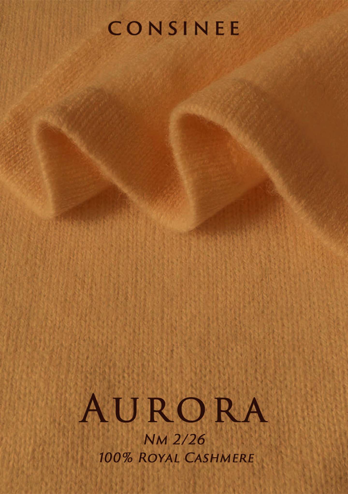 1.1-AURORA-
