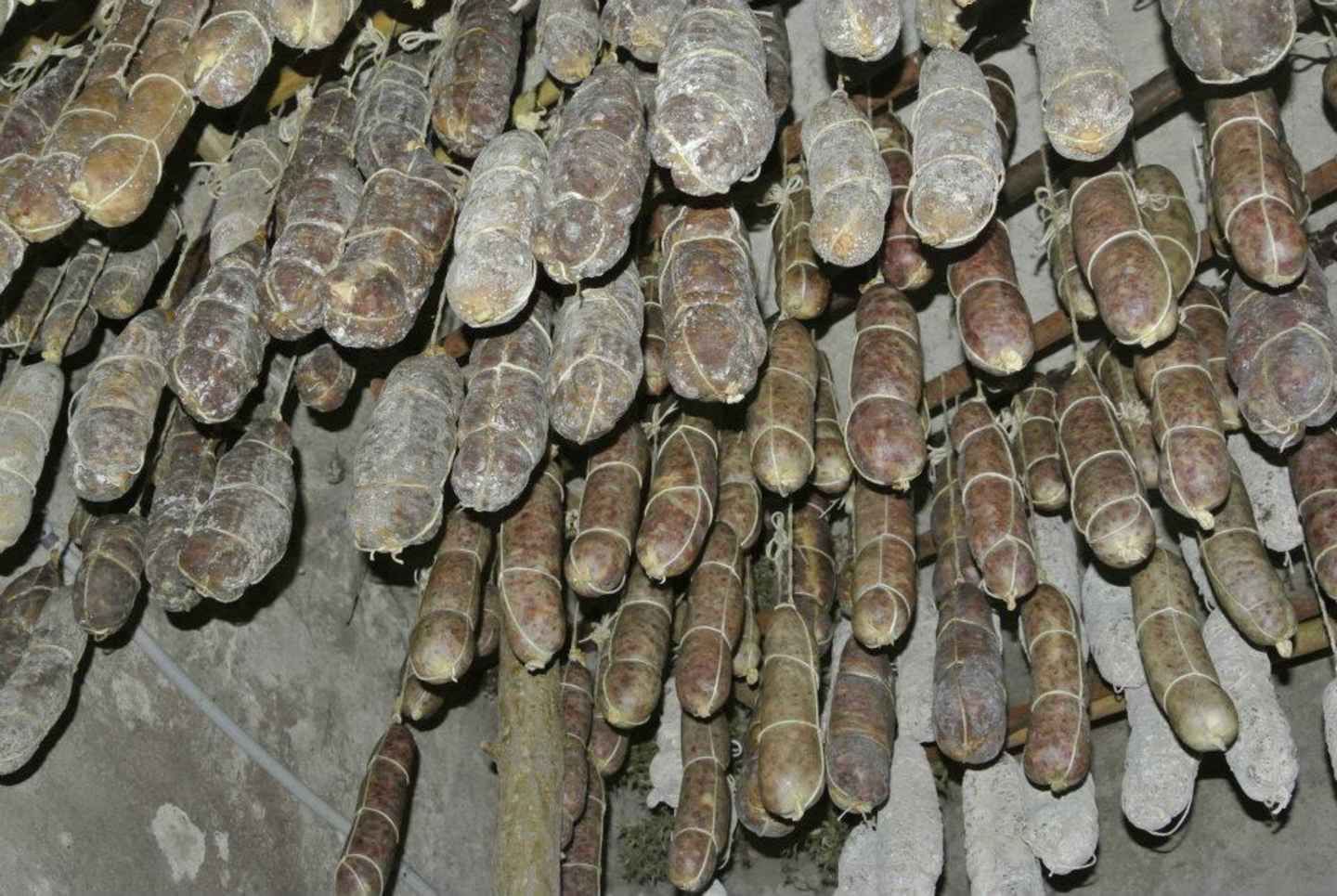 salami2