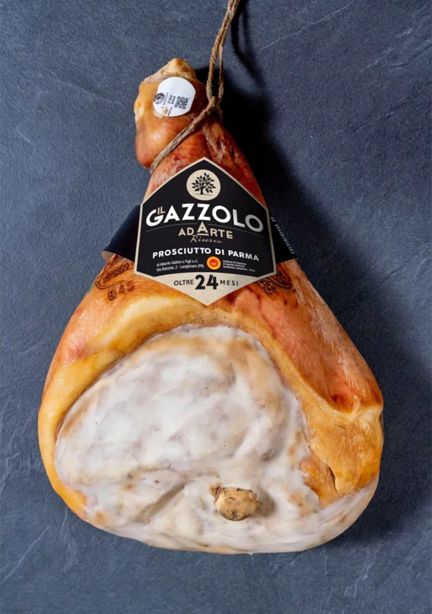 gazzolo24mes