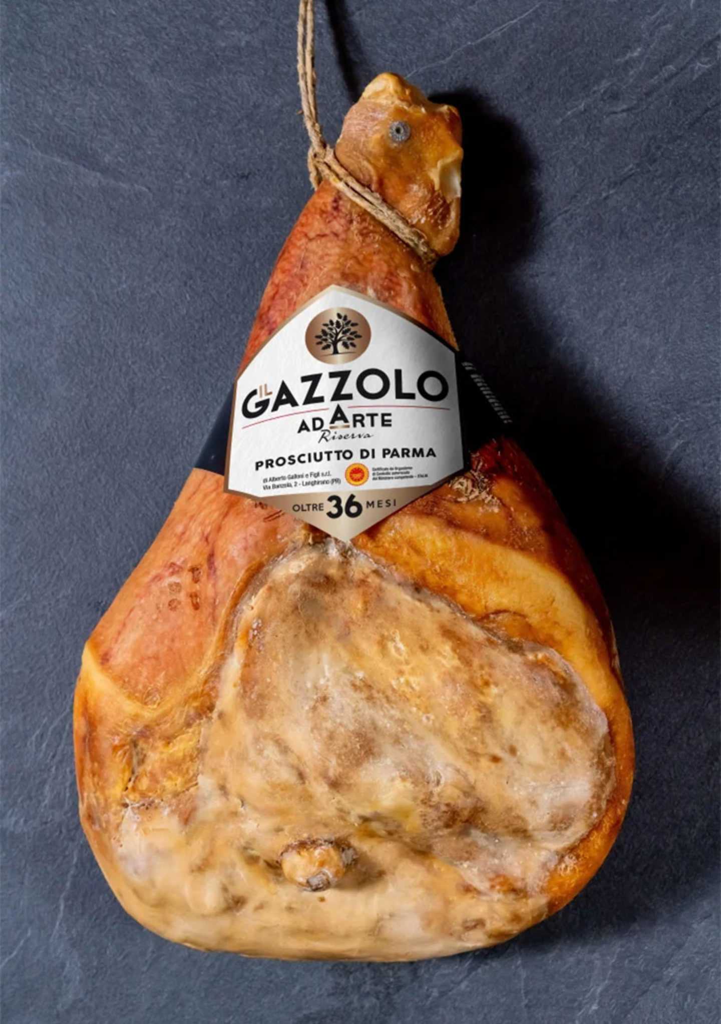 gazzolo36mes