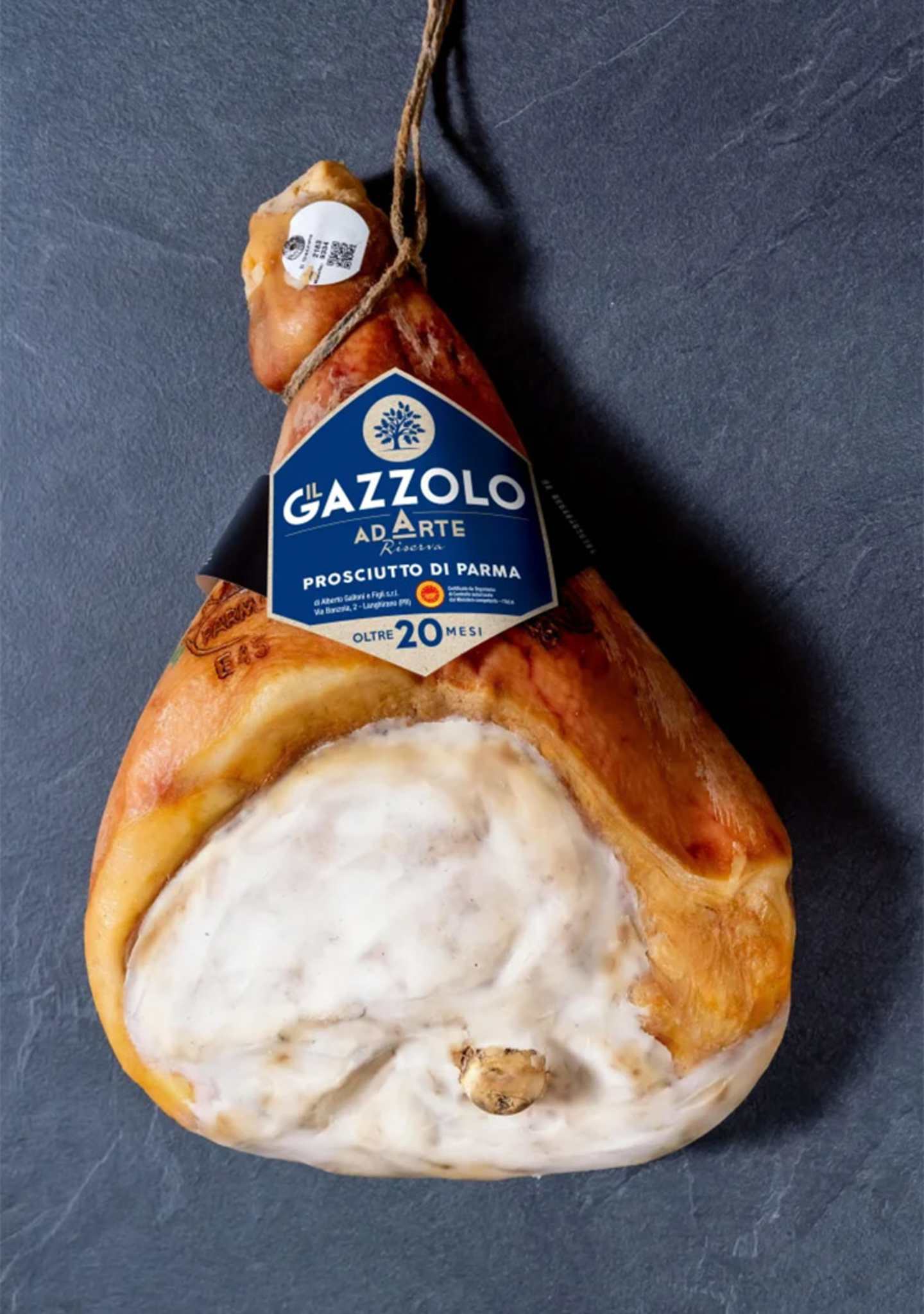 gazzolo20mesi