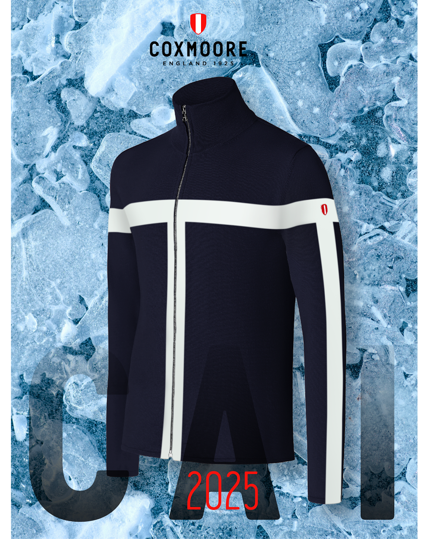 CAI_NAVY_A4_Poster