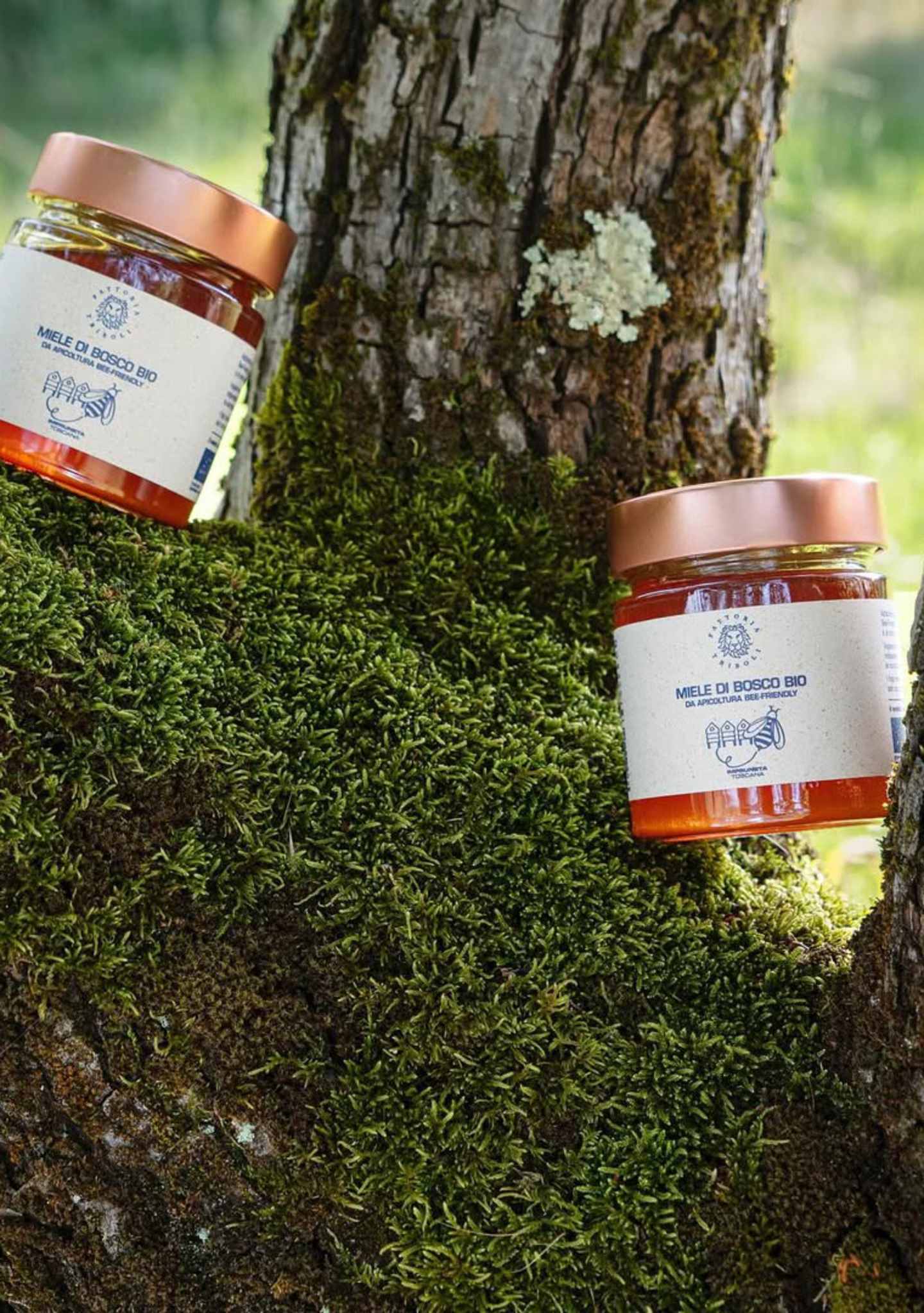 fattoriatriboli_miele_bosco