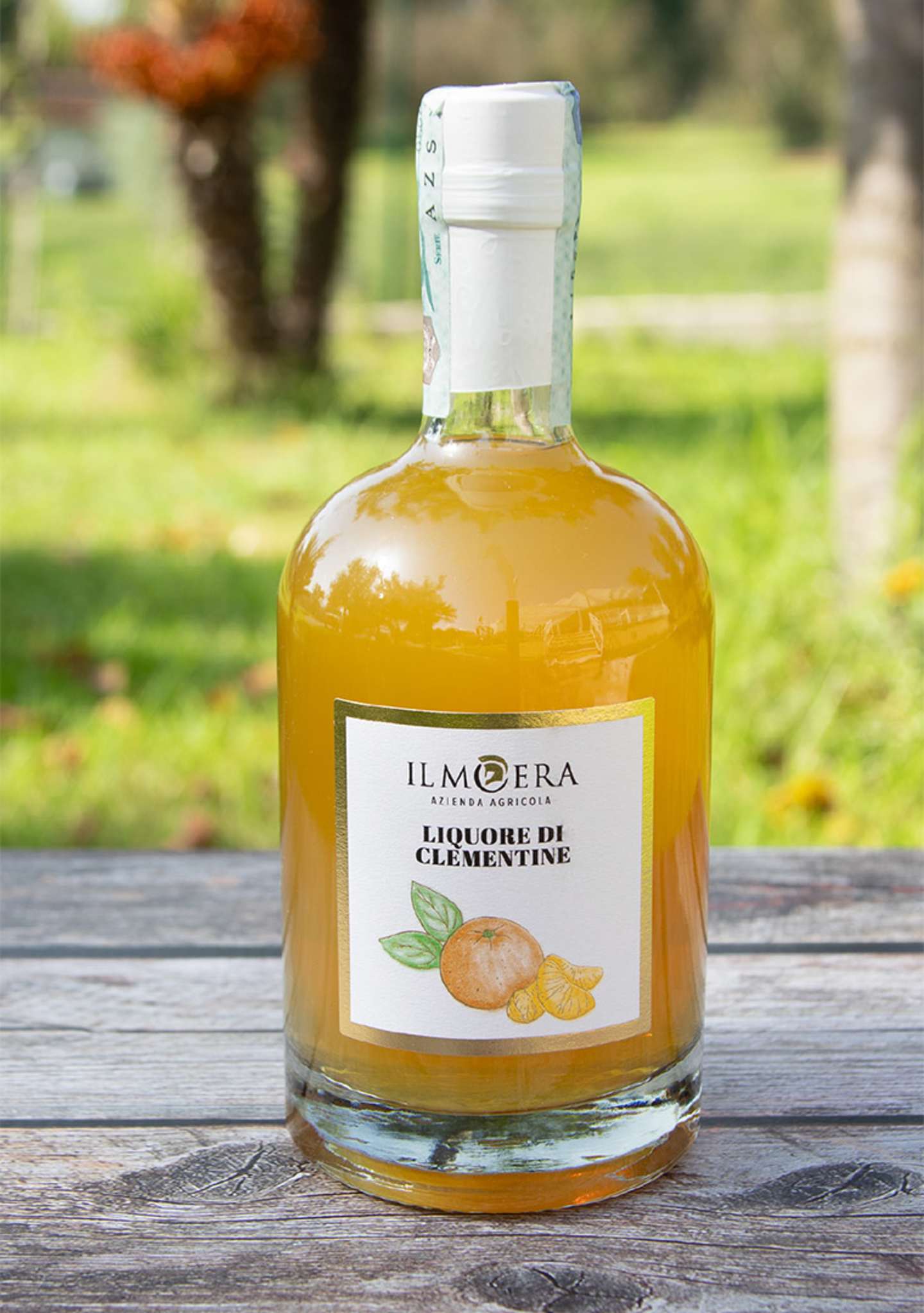 Catalogo_ILMOERA_2025-17