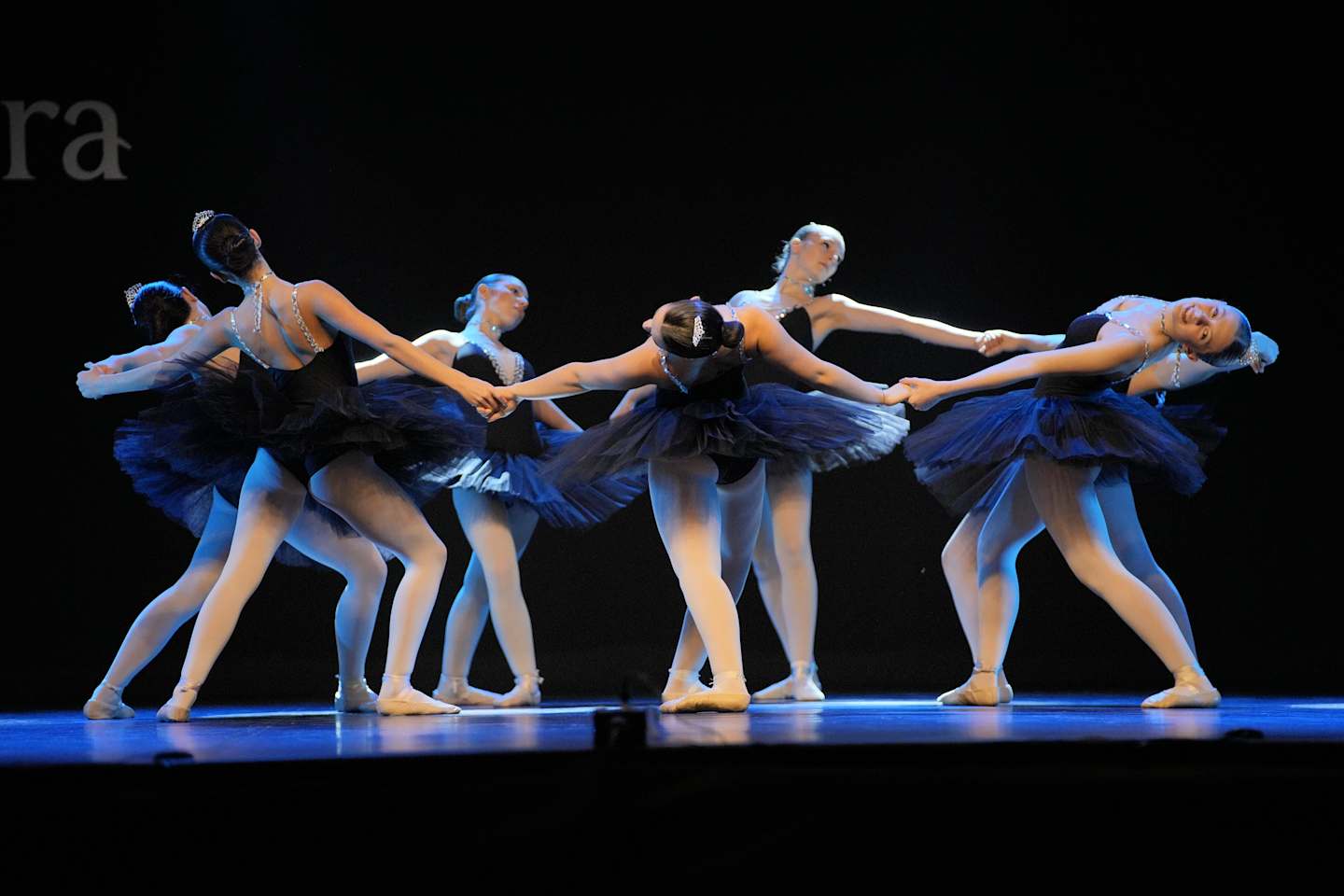 Armonie_di_Danza_8