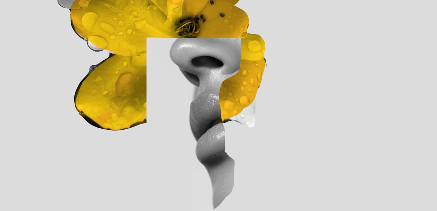 HOME_1440x697_FRAGRANZE_Flower_28