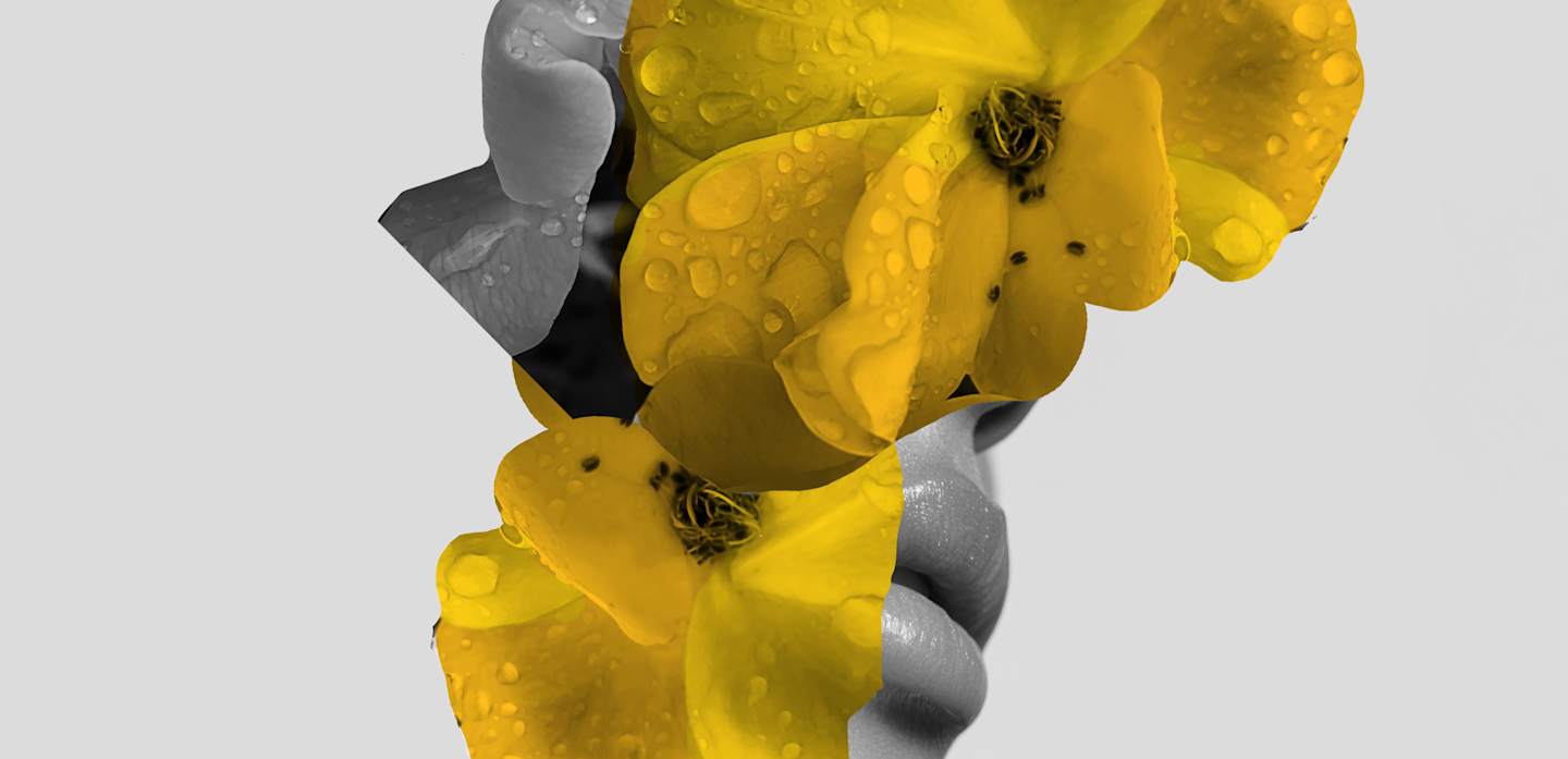HOME_1440x697_FRAGRANZE_Flower_43