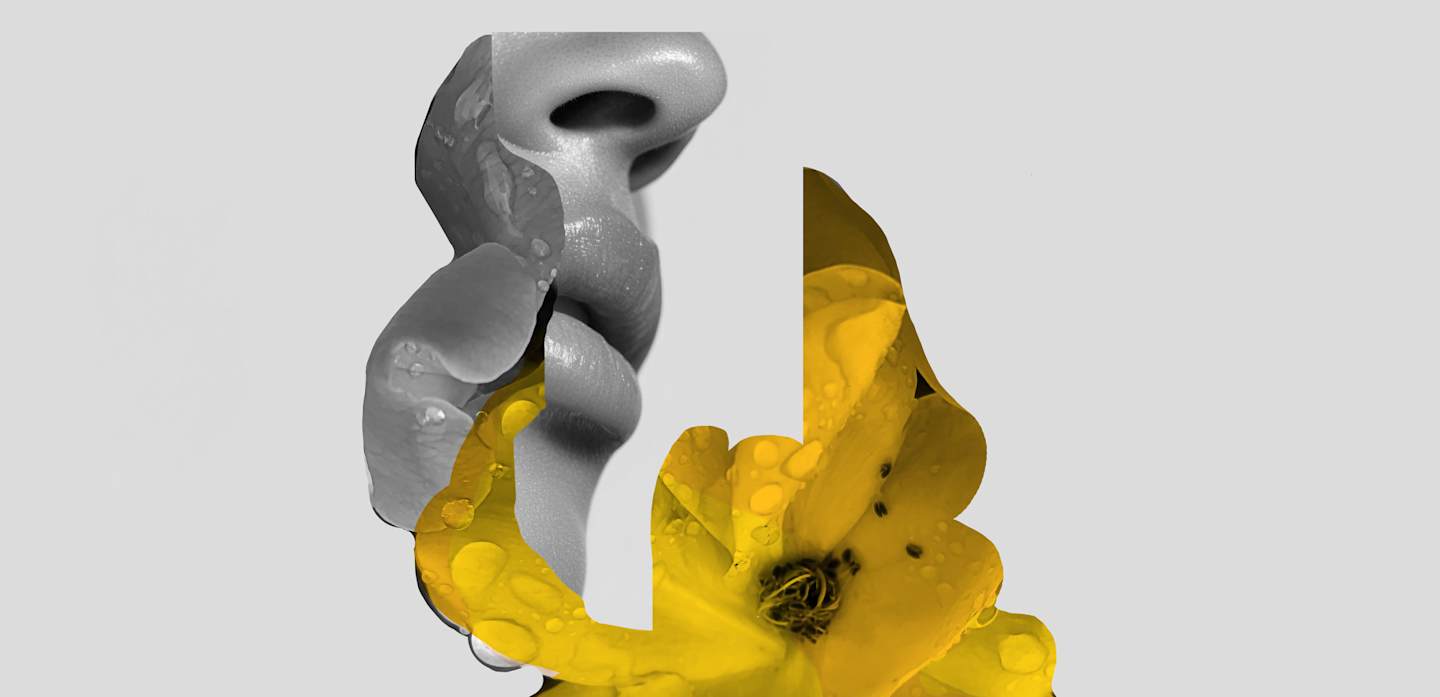 HOME_1440x697_FRAGRANZE_Flower_18