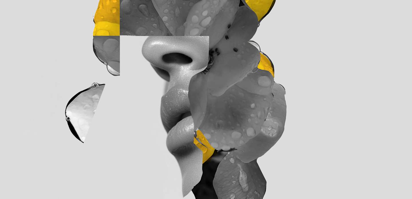 HOME_1440x697_FRAGRANZE_Flower_29