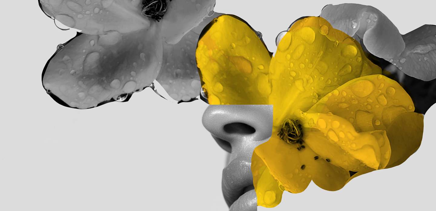 HOME_1440x697_FRAGRANZE_Flower_40