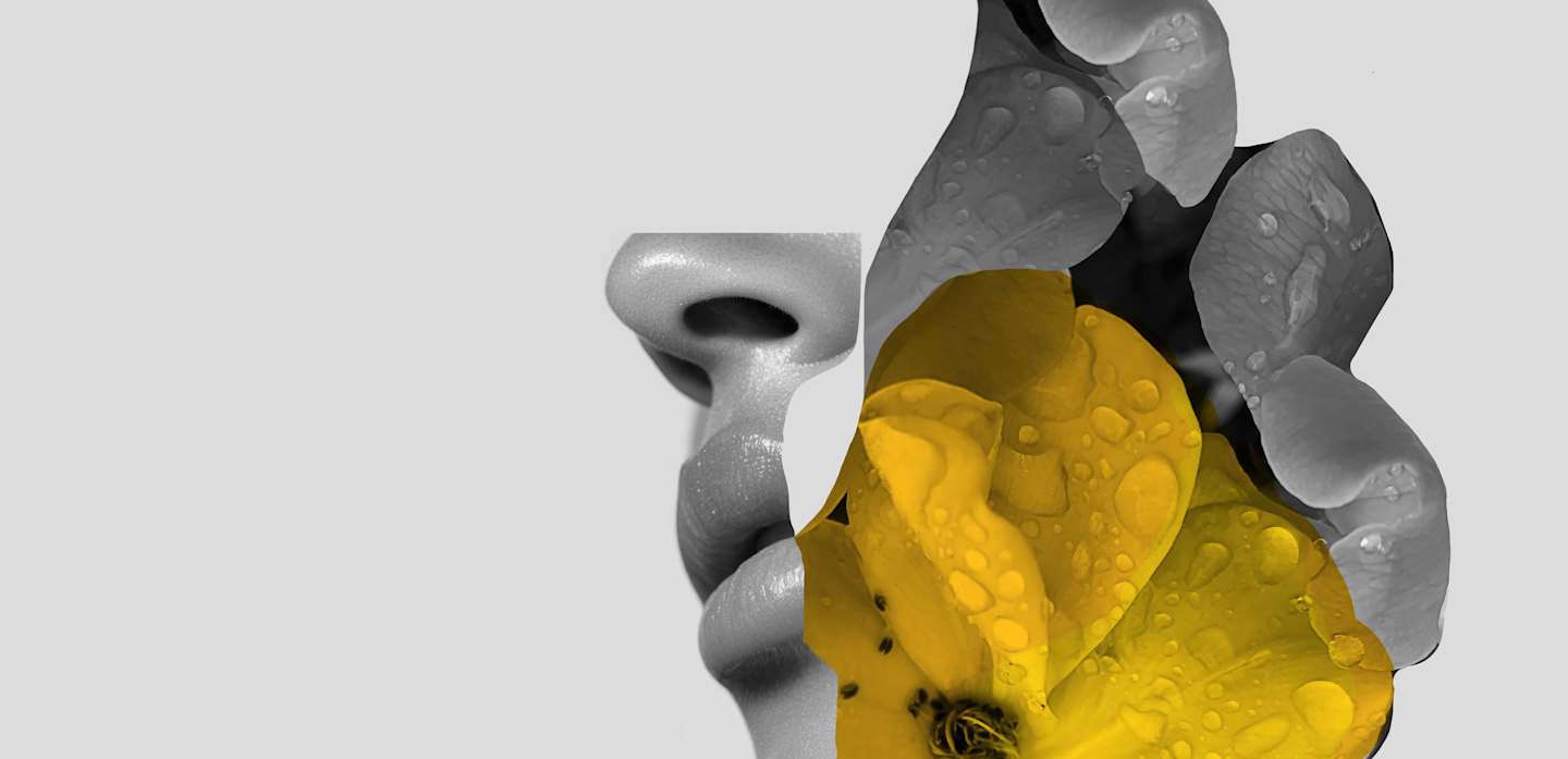 HOME_1440x697_FRAGRANZE_Flower_3