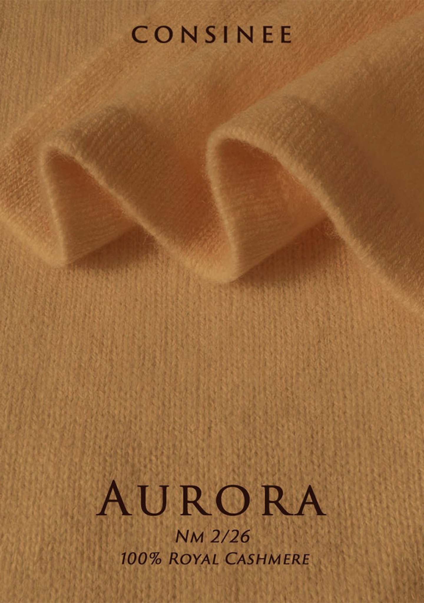 1.1-AURORA-