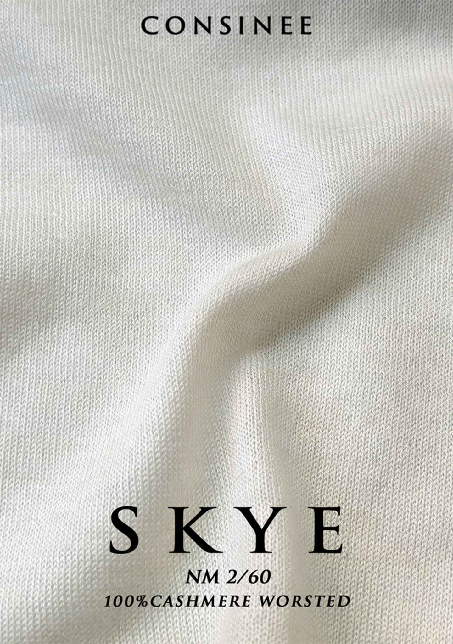 1.1-SKYE