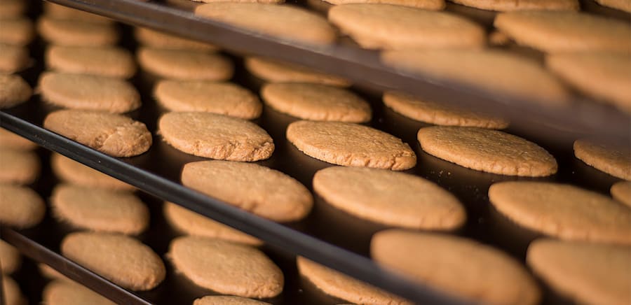 herobanner_PRIMOPAN_T15