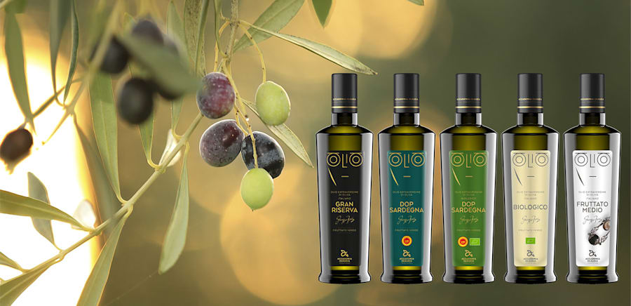 herobanner_ACCADEMIAOLEARIA_T15