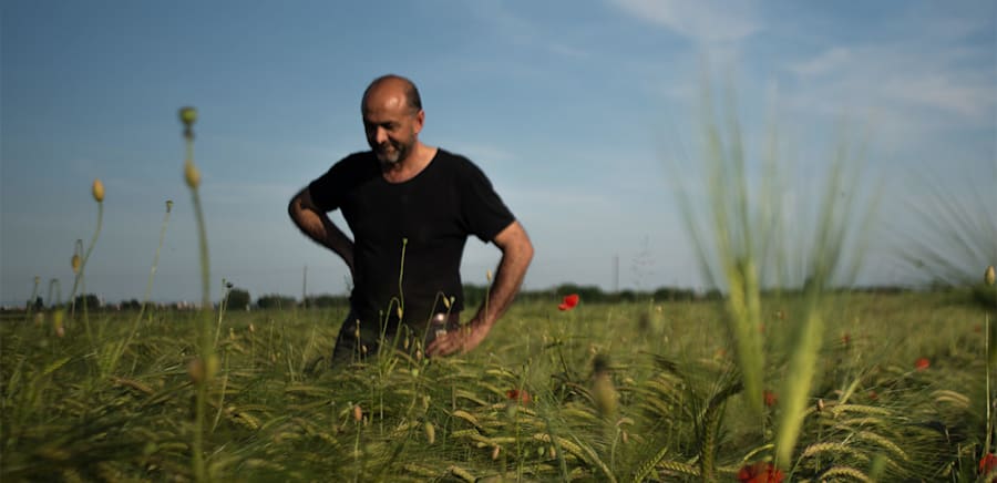 herobanner_CLAUDIOOLIVEROAZIENDAAGRICOLABIOLOGICA_T15