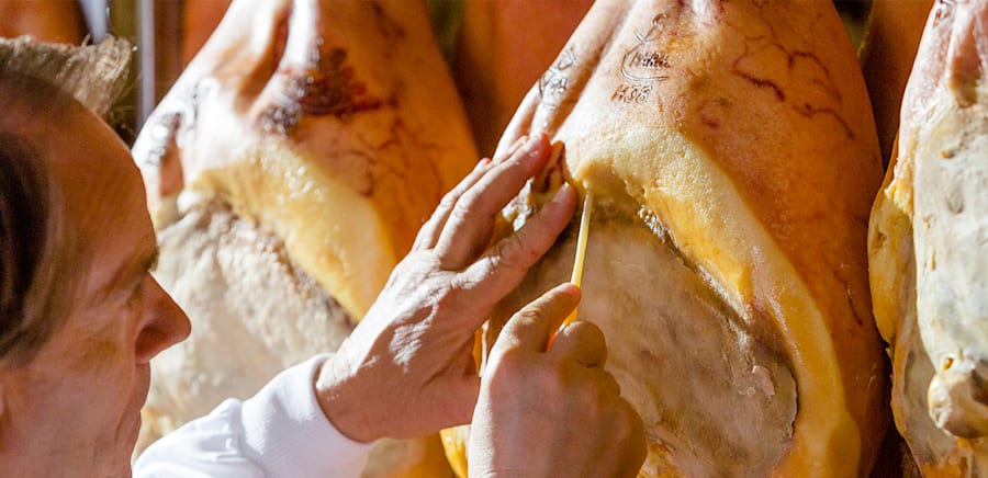 herobanner_PIAZZAPROSCIUTTI_T15